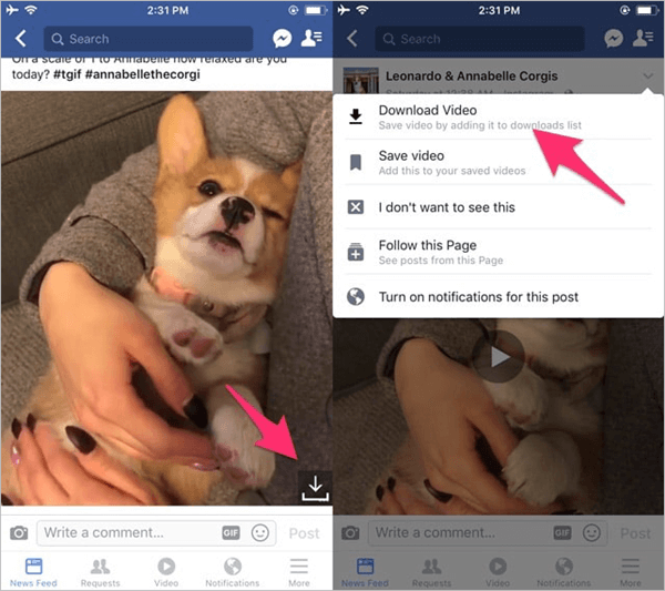 save videos from facebook to iphone