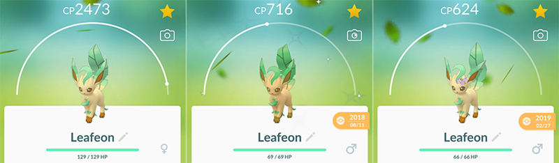 pokemon go leafeon family