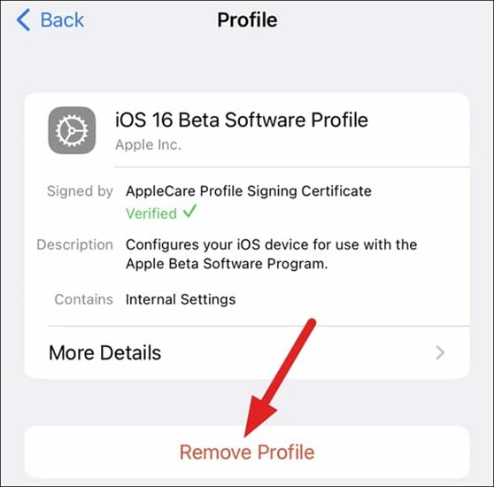 remove ios 16 beta profile